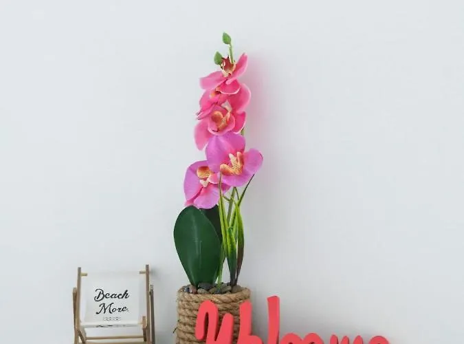 Antonia Appartement *